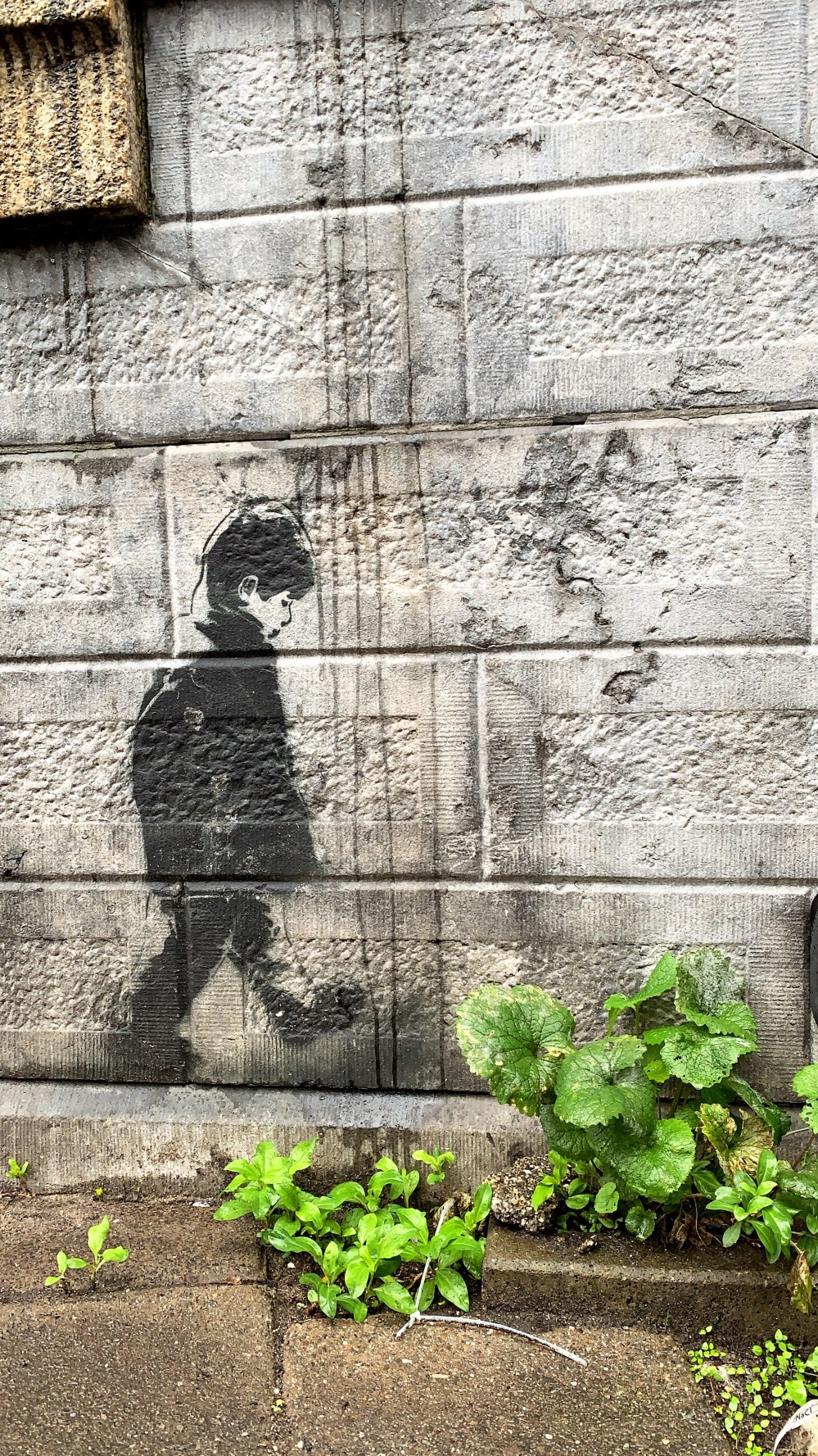 AE461C60-2F3C-4E7C-947E-F1FF6A9F82D6